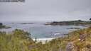 ./images/calvert/foggy-cove/20260521/foggy-cove20260521_120501M.jpg