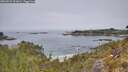 ./images/calvert/foggy-cove/20260521/foggy-cove20260521_121001M.jpg
