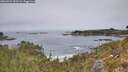 ./images/calvert/foggy-cove/20260521/foggy-cove20260521_122502M.jpg