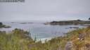 ./images/calvert/foggy-cove/20260521/foggy-cove20260521_123502M.jpg
