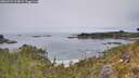 ./images/calvert/foggy-cove/20260521/foggy-cove20260521_124001M.jpg