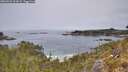 ./images/calvert/foggy-cove/20260521/foggy-cove20260521_124501M.jpg