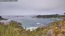 ./images/calvert/foggy-cove/20260521/foggy-cove20260521_125001M.jpg