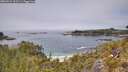 ./images/calvert/foggy-cove/20260521/foggy-cove20260521_125501M.jpg