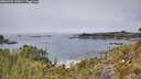 ./images/calvert/foggy-cove/20260521/foggy-cove20260521_130001M.jpg