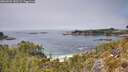./images/calvert/foggy-cove/20260521/foggy-cove20260521_130501M.jpg