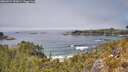 ./images/calvert/foggy-cove/20260521/foggy-cove20260521_132001M.jpg