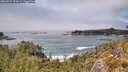 ./images/calvert/foggy-cove/20260521/foggy-cove20260521_133002M.jpg