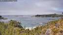./images/calvert/foggy-cove/20260521/foggy-cove20260521_133501M.jpg