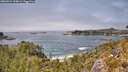 ./images/calvert/foggy-cove/20260521/foggy-cove20260521_134001M.jpg