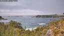 ./images/calvert/foggy-cove/20260521/foggy-cove20260521_135001M.jpg