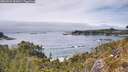 ./images/calvert/foggy-cove/20260521/foggy-cove20260521_141001M.jpg