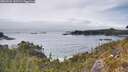 ./images/calvert/foggy-cove/20260521/foggy-cove20260521_141501M.jpg