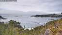 ./images/calvert/foggy-cove/20260521/foggy-cove20260521_142001M.jpg