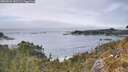 ./images/calvert/foggy-cove/20260521/foggy-cove20260521_142502M.jpg