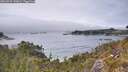 ./images/calvert/foggy-cove/20260521/foggy-cove20260521_143001M.jpg