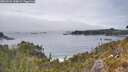./images/calvert/foggy-cove/20260521/foggy-cove20260521_144002M.jpg