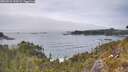 ./images/calvert/foggy-cove/20260521/foggy-cove20260521_144501M.jpg