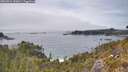 ./images/calvert/foggy-cove/20260521/foggy-cove20260521_145001M.jpg