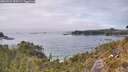 ./images/calvert/foggy-cove/20260521/foggy-cove20260521_150501M.jpg