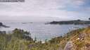 ./images/calvert/foggy-cove/20260521/foggy-cove20260521_152001M.jpg
