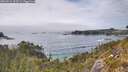 ./images/calvert/foggy-cove/20260521/foggy-cove20260521_153501M.jpg