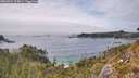 ./images/calvert/foggy-cove/20260521/foggy-cove20260521_154001M.jpg