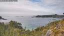 ./images/calvert/foggy-cove/20260521/foggy-cove20260521_154501M.jpg