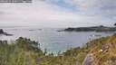 ./images/calvert/foggy-cove/20260521/foggy-cove20260521_155001M.jpg