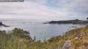 ./images/calvert/foggy-cove/20260521/foggy-cove20260521_155501M.jpg