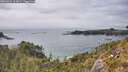 ./images/calvert/foggy-cove/20260521/foggy-cove20260521_162001M.jpg