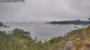 ./images/calvert/foggy-cove/20260521/foggy-cove20260521_164001M.jpg