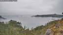 ./images/calvert/foggy-cove/20260521/foggy-cove20260521_165001M.jpg