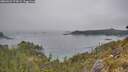 ./images/calvert/foggy-cove/20260521/foggy-cove20260521_173001M.jpg