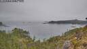 ./images/calvert/foggy-cove/20260521/foggy-cove20260521_174501M.jpg