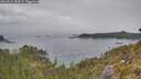 ./images/calvert/foggy-cove/20260521/foggy-cove20260521_180001M.jpg