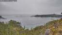./images/calvert/foggy-cove/20260521/foggy-cove20260521_180501M.jpg