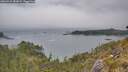 ./images/calvert/foggy-cove/20260521/foggy-cove20260521_182001M.jpg