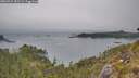 ./images/calvert/foggy-cove/20260521/foggy-cove20260521_182502M.jpg