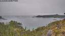 ./images/calvert/foggy-cove/20260521/foggy-cove20260521_184501M.jpg