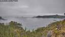./images/calvert/foggy-cove/20260521/foggy-cove20260521_185002M.jpg