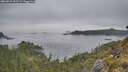 ./images/calvert/foggy-cove/20260521/foggy-cove20260521_192501M.jpg