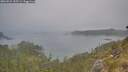 ./images/calvert/foggy-cove/20260521/foggy-cove20260521_195501M.jpg
