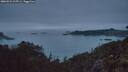 ./images/calvert/foggy-cove/20260521/foggy-cove20260521_215501M.jpg