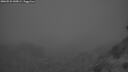 ./images/calvert/foggy-cove/20260522/foggy-cove20260522_045001M.jpg