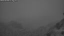 ./images/calvert/foggy-cove/20260522/foggy-cove20260522_045501M.jpg