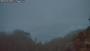 ./images/calvert/foggy-cove/20260522/foggy-cove20260522_050501M.jpg