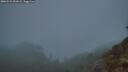 ./images/calvert/foggy-cove/20260522/foggy-cove20260522_051002M.jpg