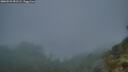 ./images/calvert/foggy-cove/20260522/foggy-cove20260522_051501M.jpg