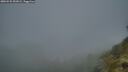 ./images/calvert/foggy-cove/20260522/foggy-cove20260522_052001M.jpg